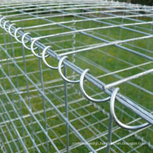 Vidaxl Amazon′s Choice Mesh 76X76mm Wire 3mm Galvanized Welded Mesh Gabions for Your Landscaping Project